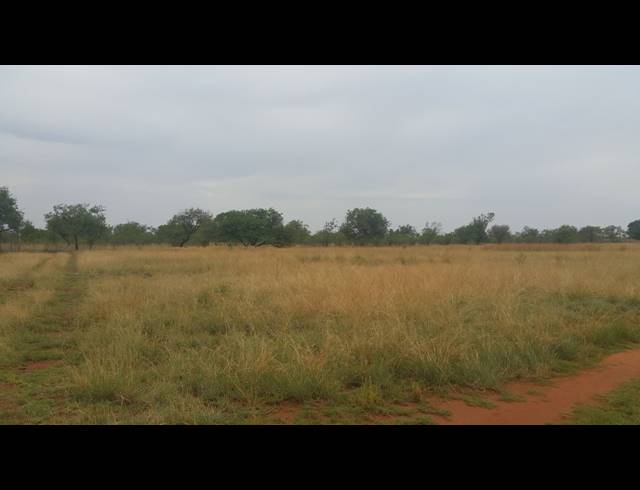 21.40HA FARM FOR SALE IN WAAGFONTEIN